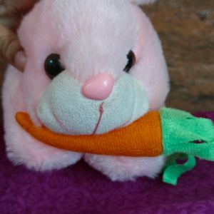 Bunny Soft Toy