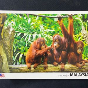 Malaysia Postcard