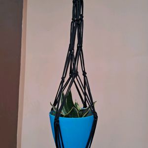 Macrame Black Colour Flower Pot Hanging