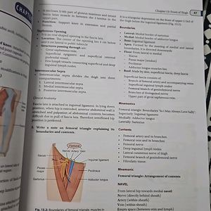 Exam Prepatory Manual For Anatomy