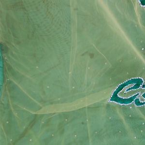 Lehanga Saree With Blouse And Peticoat