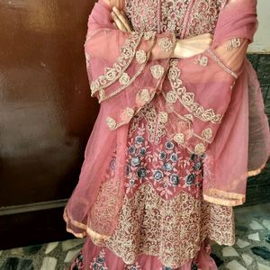 Embroidered Lehnga Choli Dress