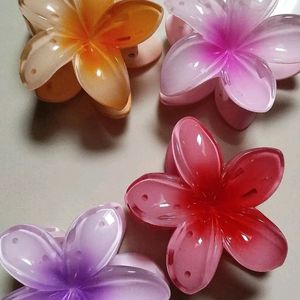 Flower Clips