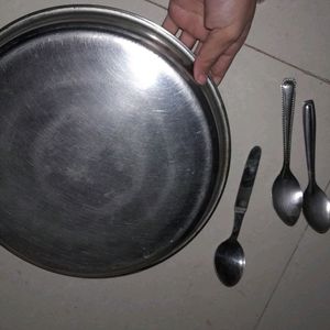 Steal Dinner Plate