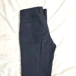 Mens Navy Blue Formal Pant