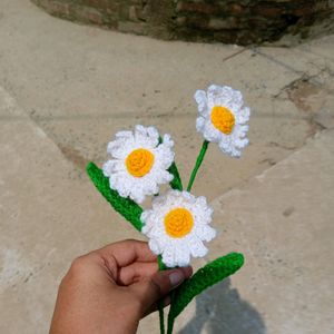 Crochet Daisy Flower 🌼✨