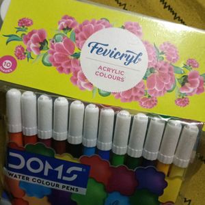 Fevicryl Acrylic Colours + Doms Water Colour Pens