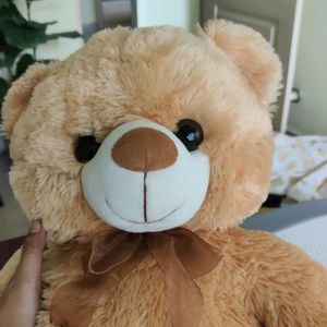 Teddy Bear (80cm)