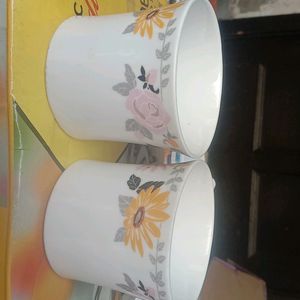 Set Of Cup