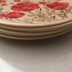 Plate Set Of 6