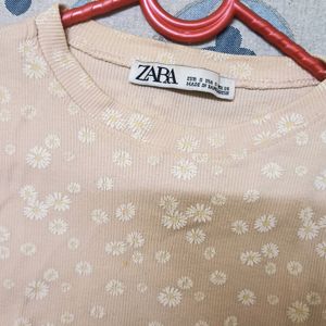 ZARA Cute Pink Crop Top