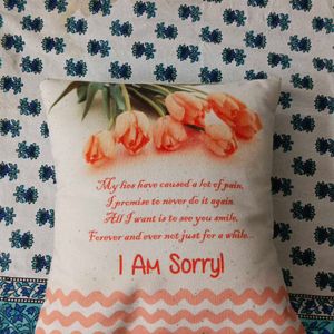 I Am Sorry Pillow | Small Cushion