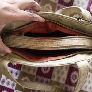 Handbag And Clutch Combo