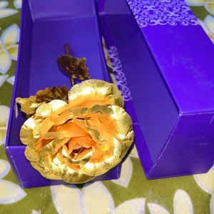 24k Golden Rose