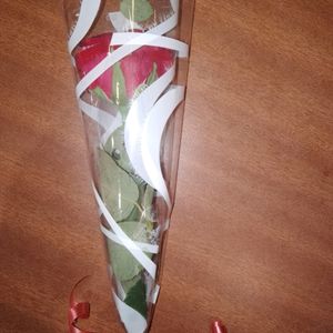 Gift Wrapper(Tranaparent)🎀 16 Sheets