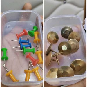 12+10Board Pins