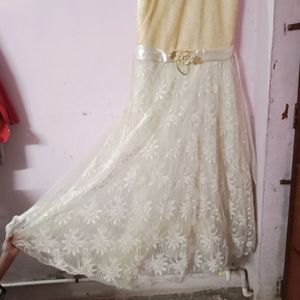 Embroidery NET Gown