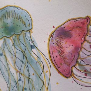 jellyfish watercolor painting 🪼