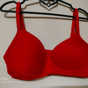 A Beautiful Padded Bra