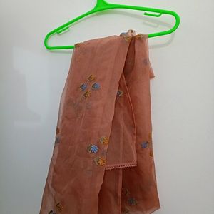 Organza Beautiful Dupatta