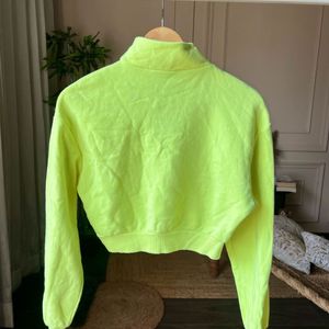 Neon Crop Sweatshirt