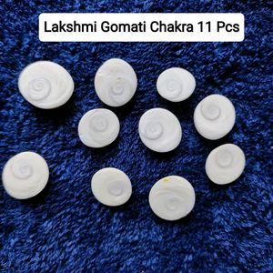 Original Lakshmi Gomati Chakra 11 Pcs Pujan Stones