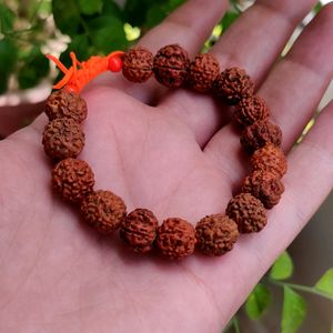 Panchmukhi Rudraksha Bracelet