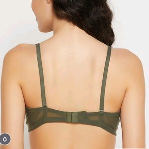 Bottle Green Lace Padded Underwired Clovia Br