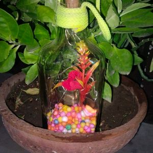 Bottle Home Decoration With Lite