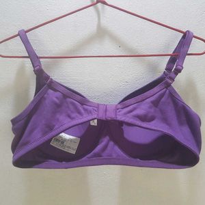 New Arrival: Premium Padded Bras in Size 36