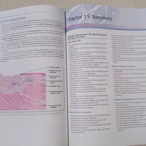 Difiore's Histology