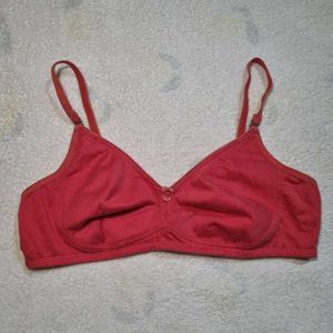 Rust Color Bra