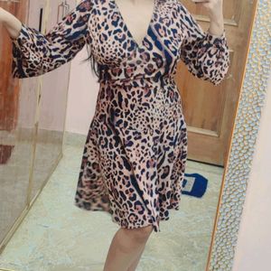 Animal Print Dress