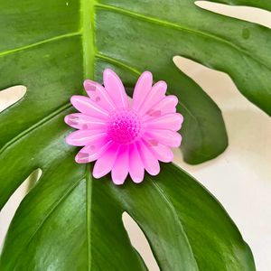 Lovely Hairclip