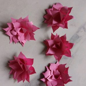 Paper Flowers