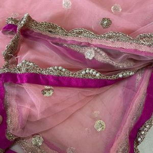 Lehenga Choli / Wedding Outfit / Ethnic Wear