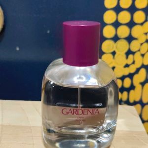 Zara Perfume Gardenia