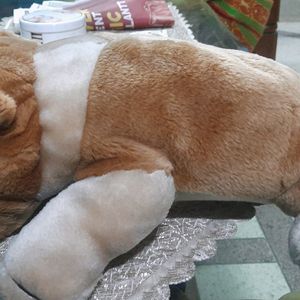 Cute Soft Toy Of Dog