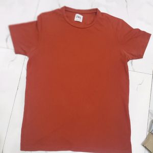 Zara Mens Tshirt