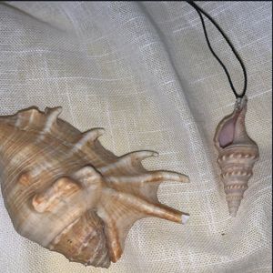 Y2k Shell Necklace