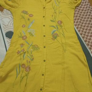 Small Size Straight Kurti