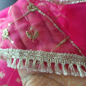 Beautiful Pink Organza Fabric Dupatta 💖💖💖