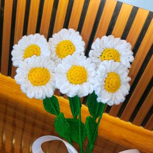 Pack Of 6 Crochet Daisies 🌼