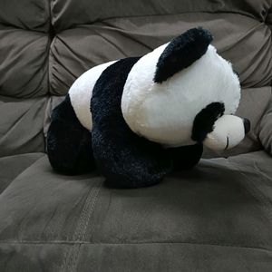 Cute Panda Softy