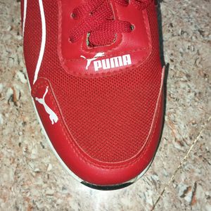 Puma Man Shoe