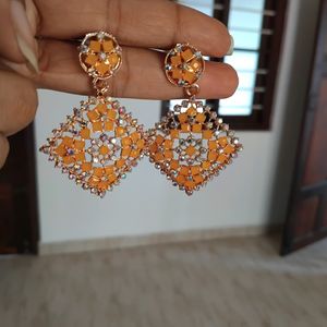 Unused Earrings