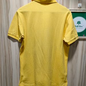 Bean Pole Yellow Polo T-Shirt