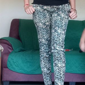 New..Panther Printed Pants..