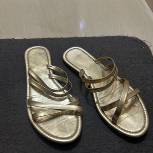 Flat Golden Slipper