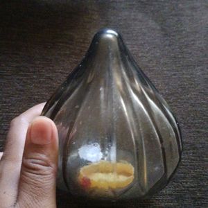 Glass Modak Coin Bank